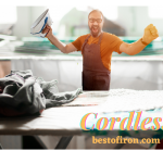 7 Best Cordless Iron (July-2022), According to Our Ironing Experts
