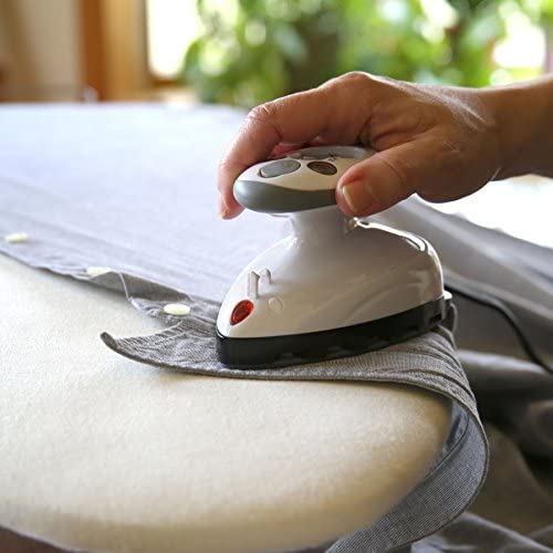 Dual Voltage Steam Iron