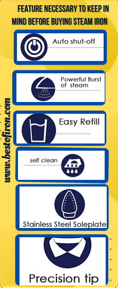 Infographics of buying guide for best steam irons